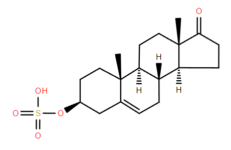 Dehydroepiandrosterone sulfate structure